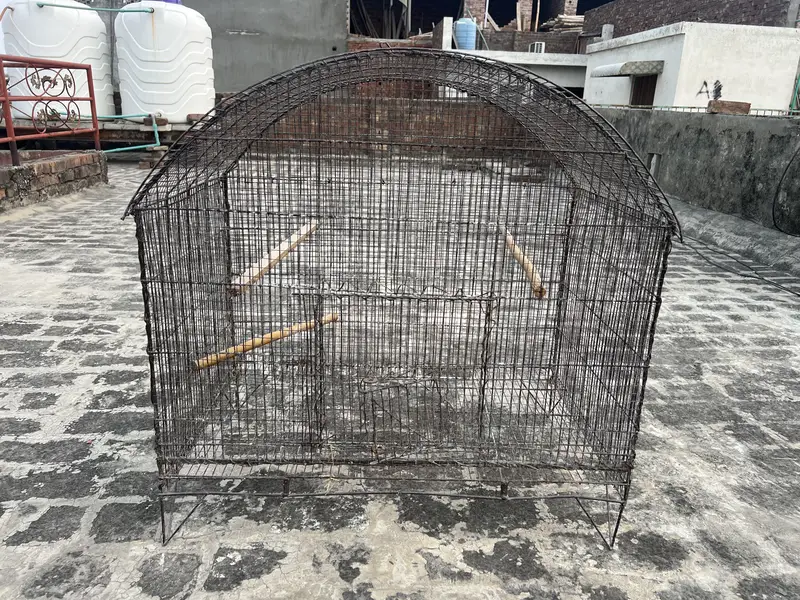 Birds D cage for sale. All ok No Damage. Number 0336 4478014 — photo 3