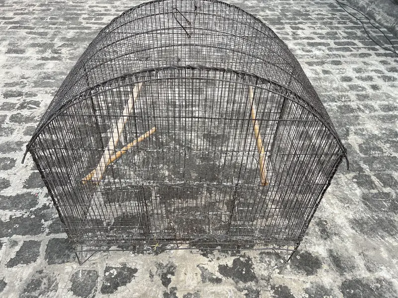 Birds D cage for sale. All ok No Damage. Number 0336 4478014 — photo 4