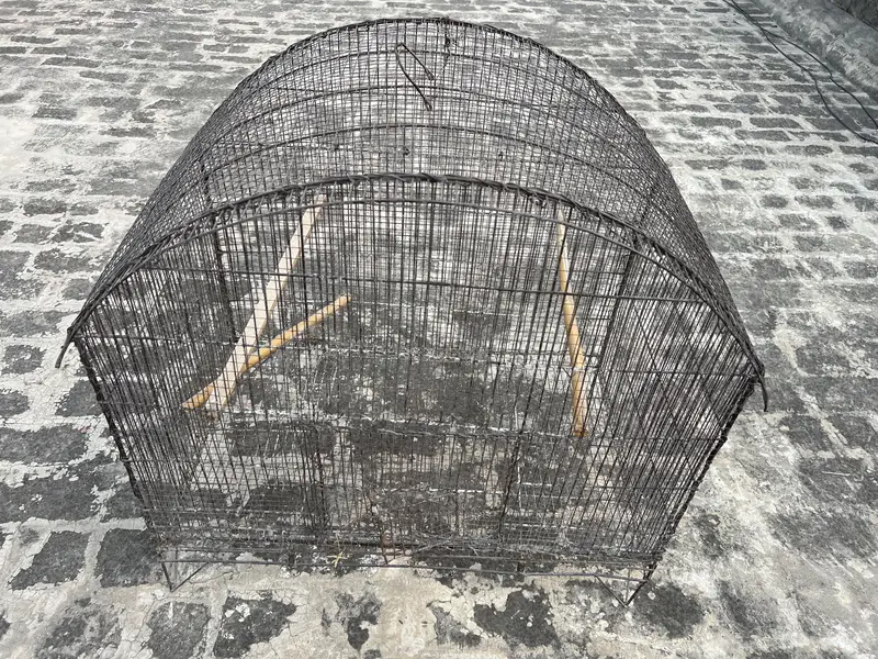 Birds D cage for sale. All ok No Damage. Number 0336 4478014 — photo 5