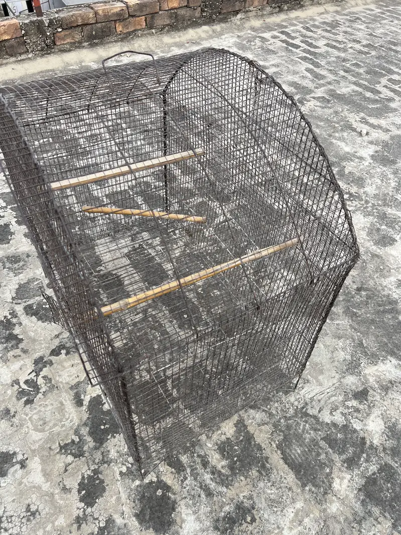 Birds D cage for sale. All ok No Damage. Number 0336 4478014 — photo 6