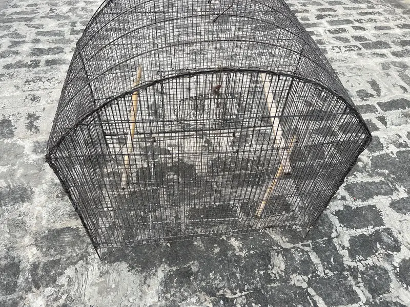 Birds D cage for sale. All ok No Damage. Number 0336 4478014 — photo 7