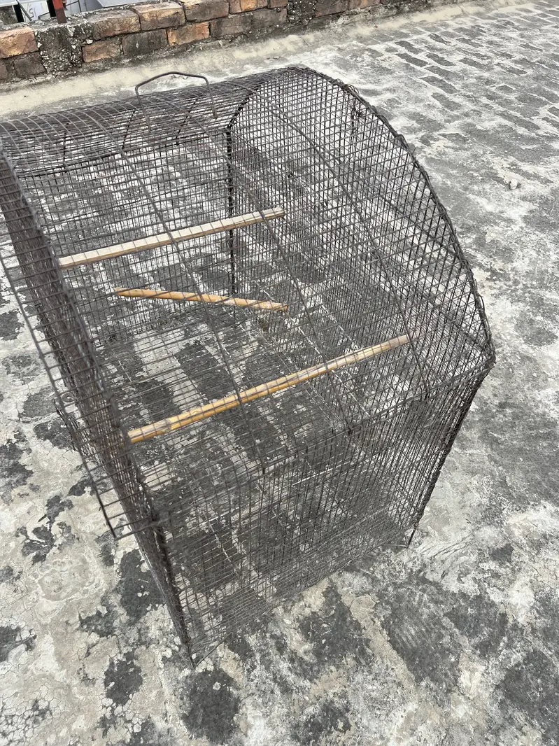 Birds D cage for sale. All ok No Damage. Number 0336 4478014 — photo 8