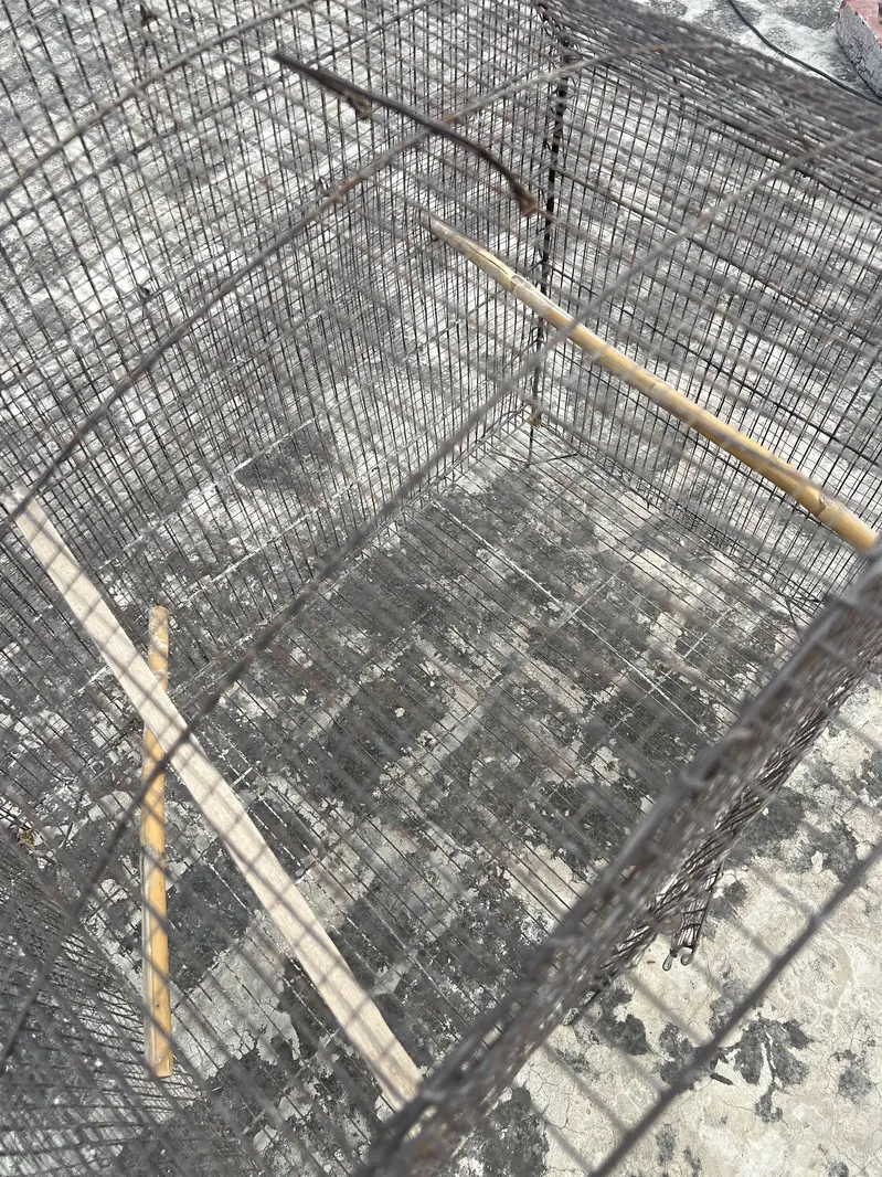Birds D cage for sale. All ok No Damage. Number 0336 4478014 — photo 10