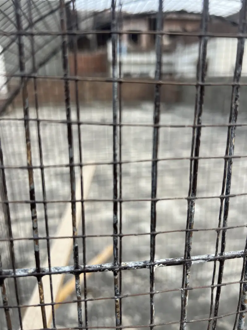 Birds D cage for sale. All ok No Damage. Number 0336 4478014 — photo 11