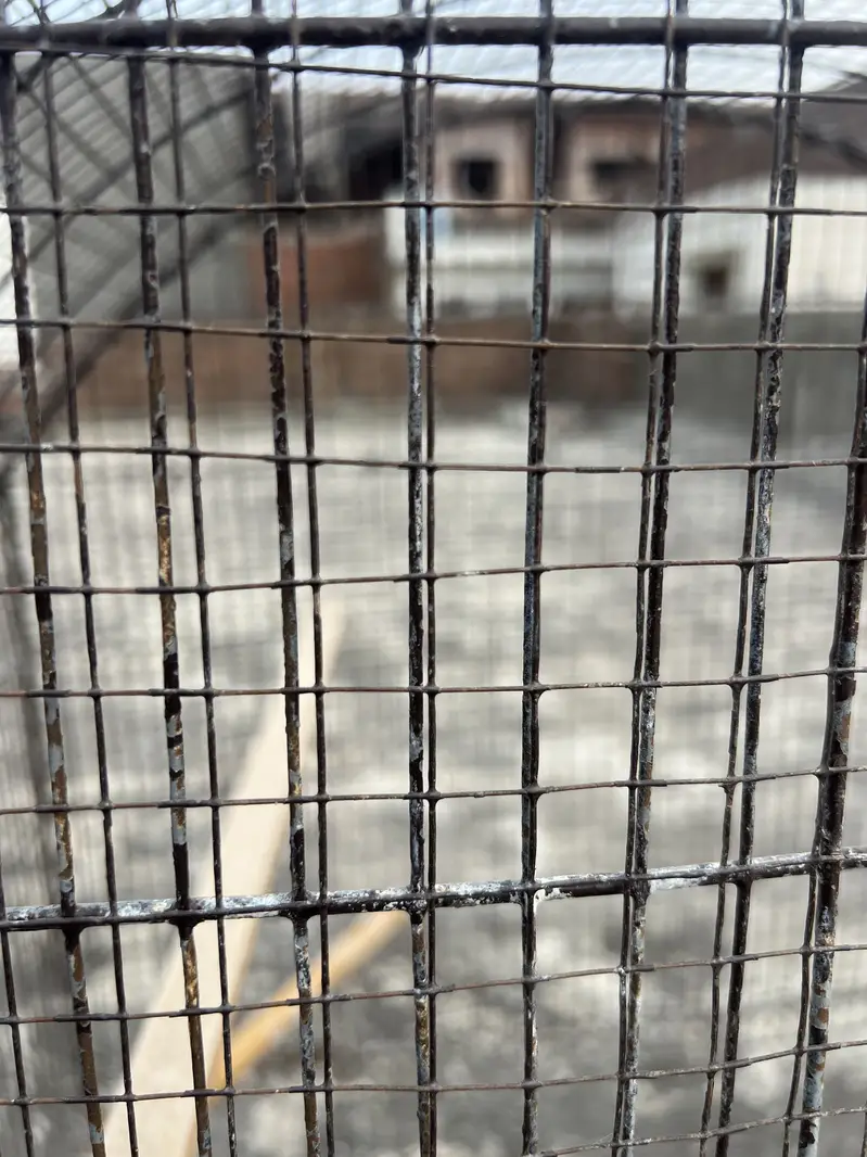 Birds D cage for sale. All ok No Damage. Number 0336 4478014 — photo 12