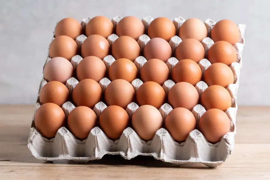 eggs . — photo 2