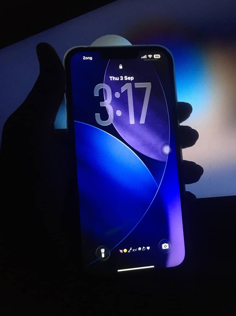 Apple iPhone 13 Pro Max 1