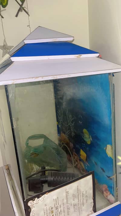 Aquarium