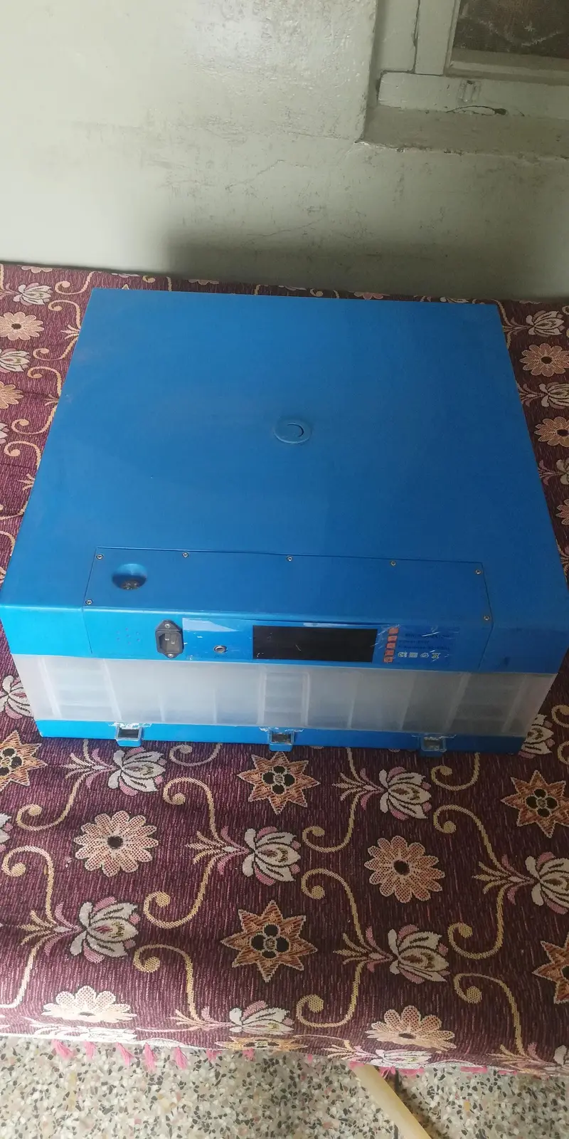 Egg Incubator