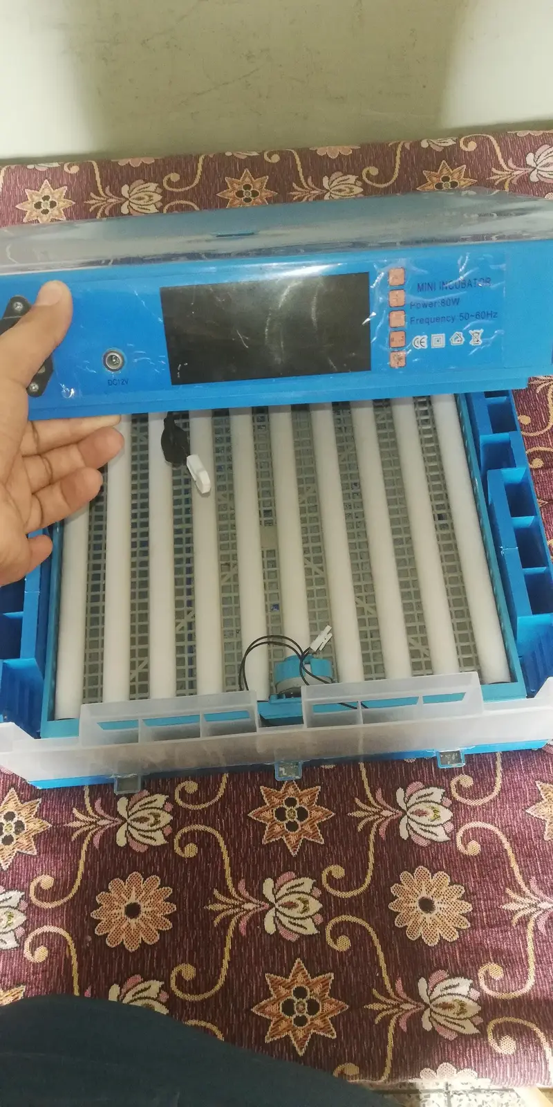 Egg Incubator — photo 3
