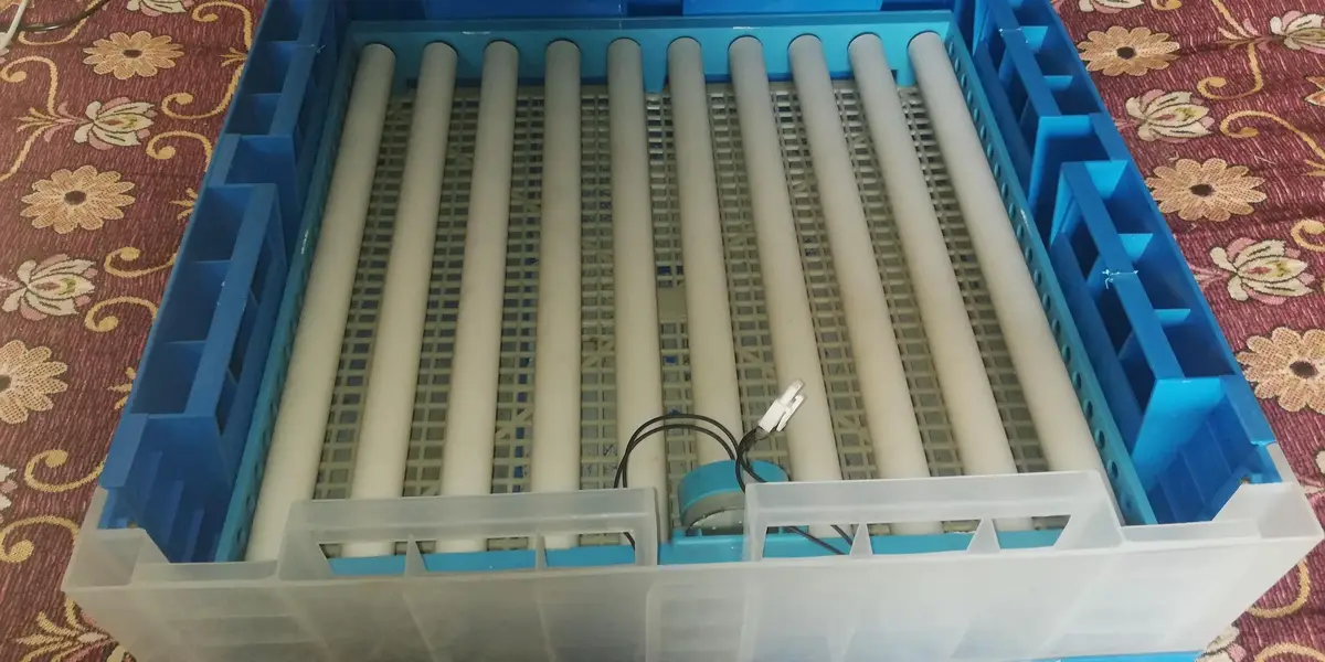 Egg Incubator — photo 4
