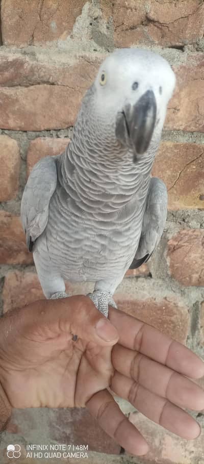 Gary female