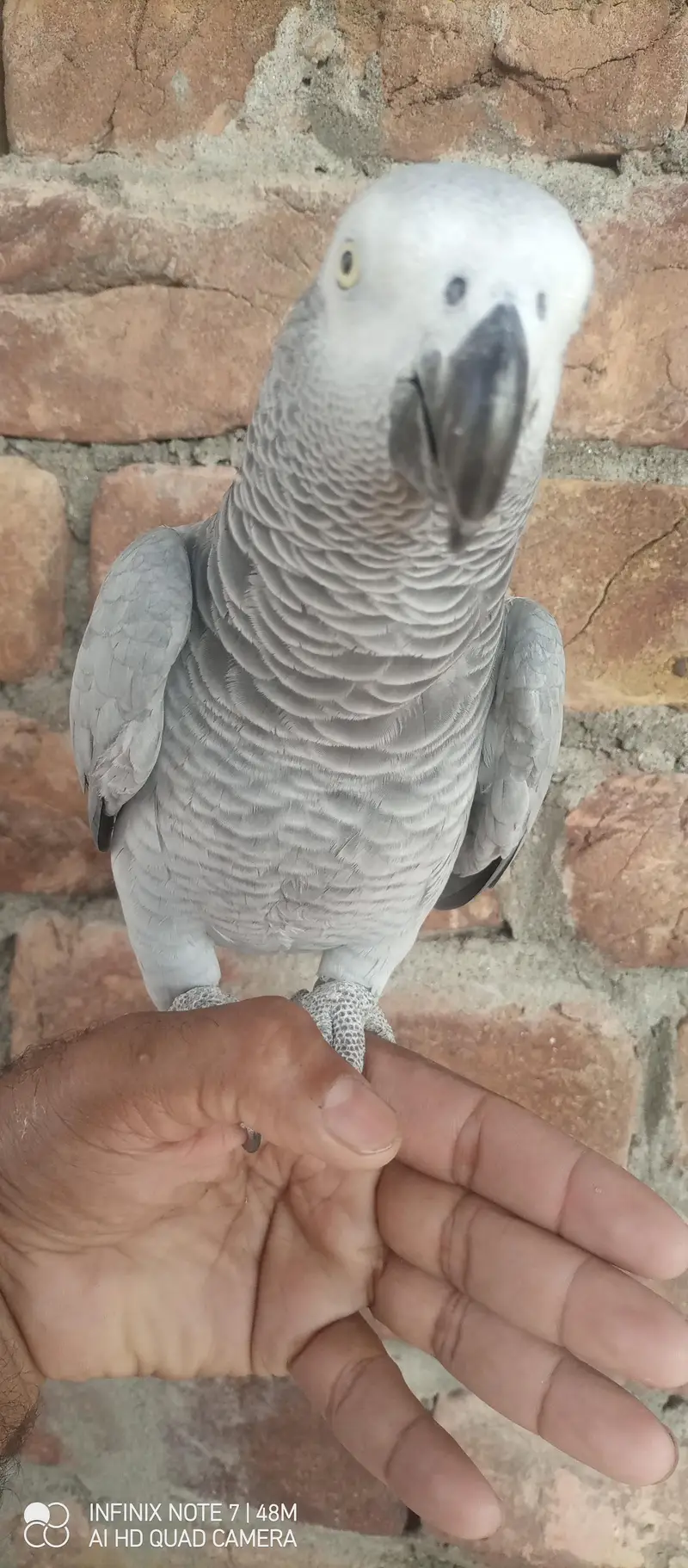 Gary female