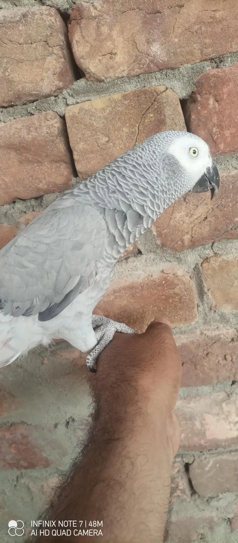 Gary female — photo 2