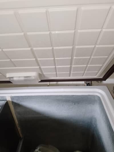 frizer for sale medium size