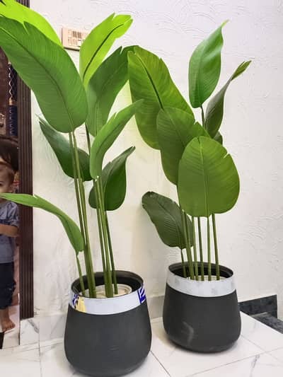 2 Large Artificial Decorative Plants with Stylish Pots – 15 Days Used