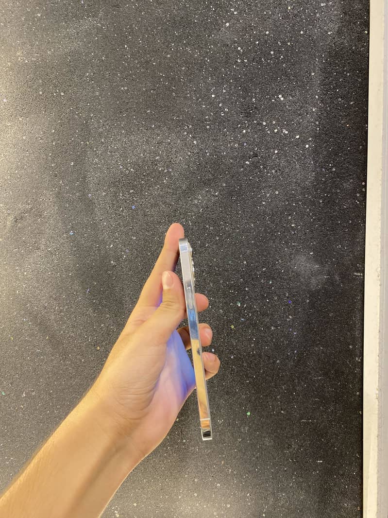 Apple iPhone 12 Pro Max 2