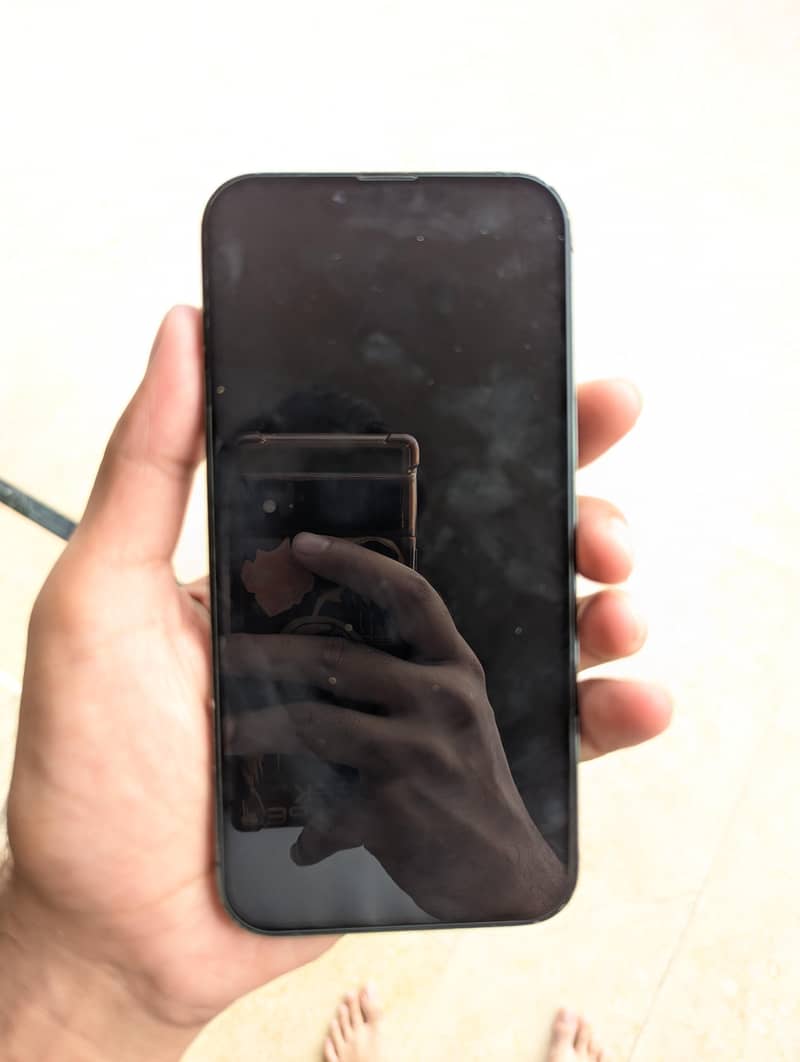 Apple iPhone 13 Pro Max 1
