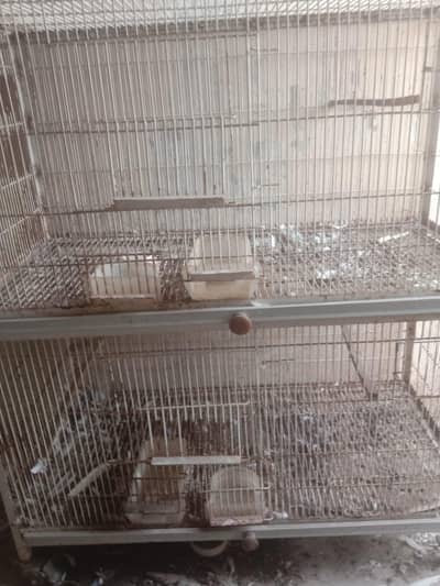 cages for sale