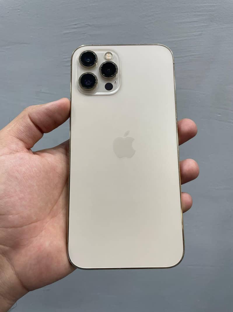 Apple iPhone 12 Pro Max 0