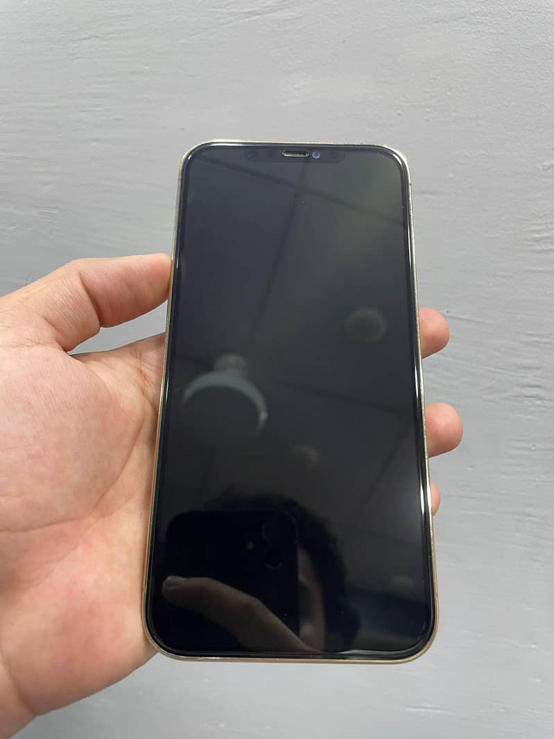 Apple iPhone 12 Pro Max 1
