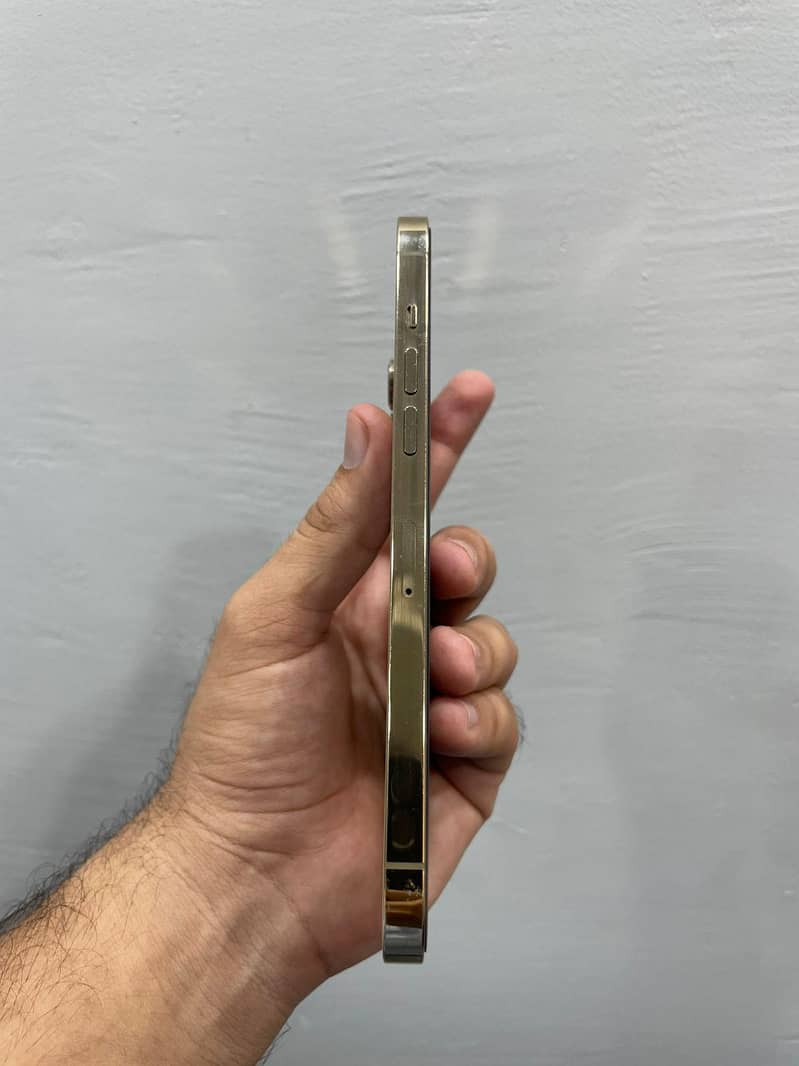 Apple iPhone 12 Pro Max 2
