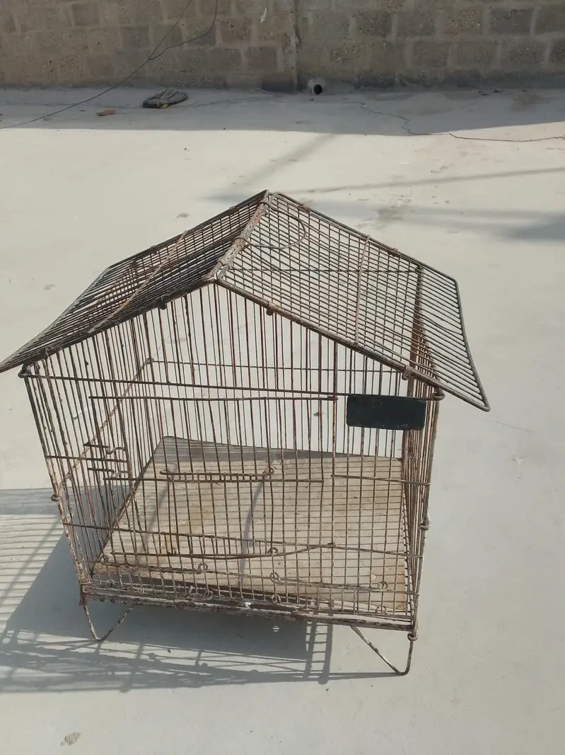 one portion cage — photo 3