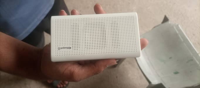 Power bank (lard)