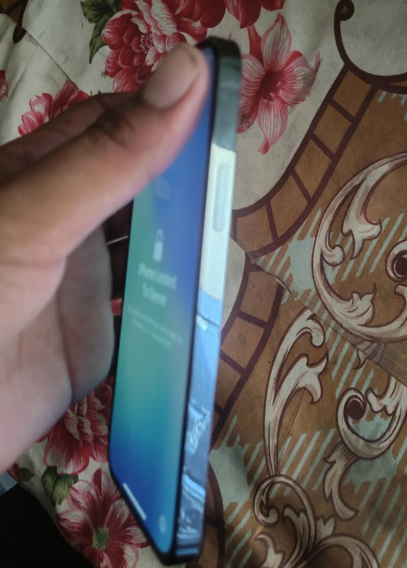Apple iPhone 12 Pro 4