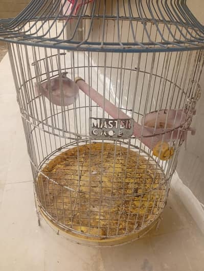 parrot cage