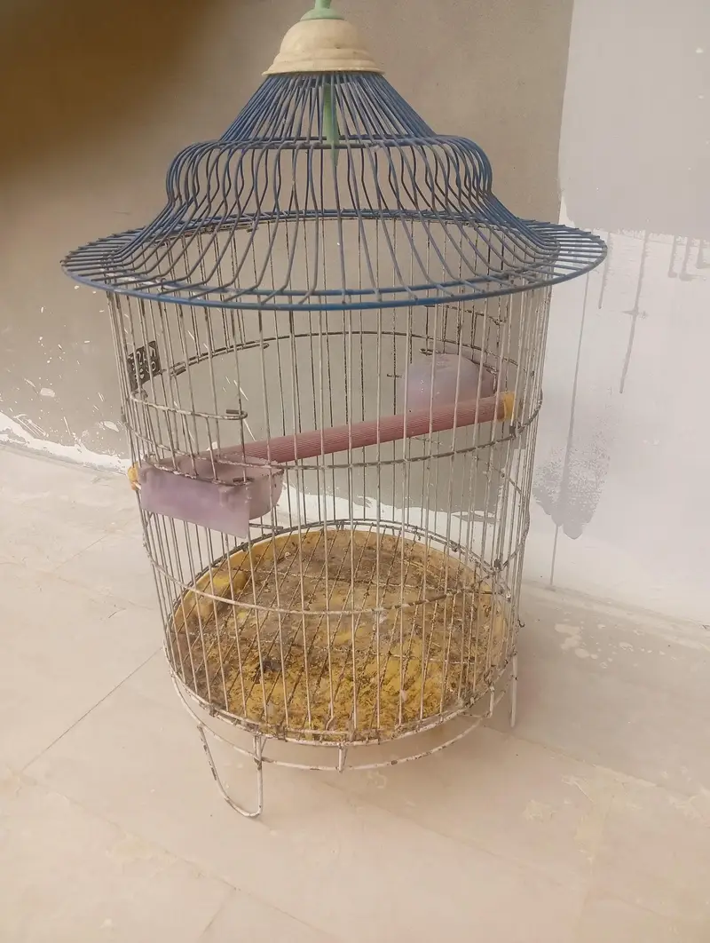 parrot cage — photo 2