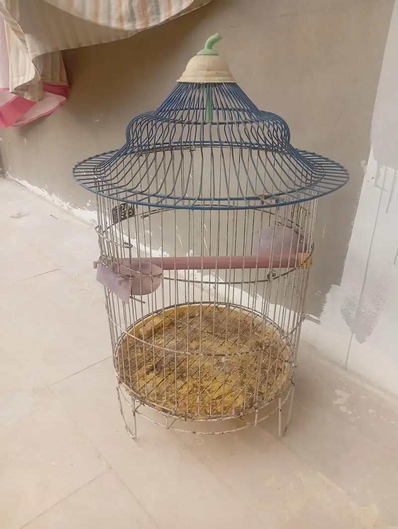 parrot cage — photo 3