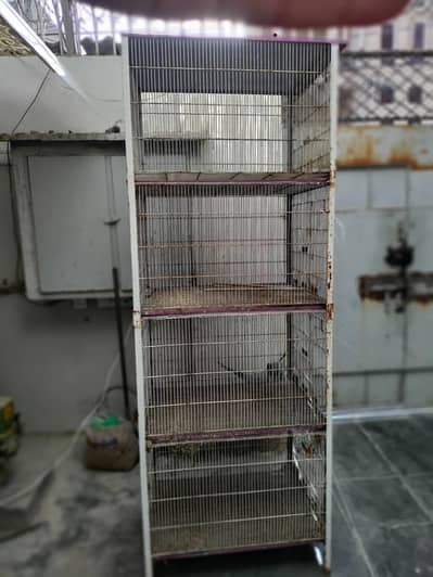 Birds Cage 2.6 X 2 ft