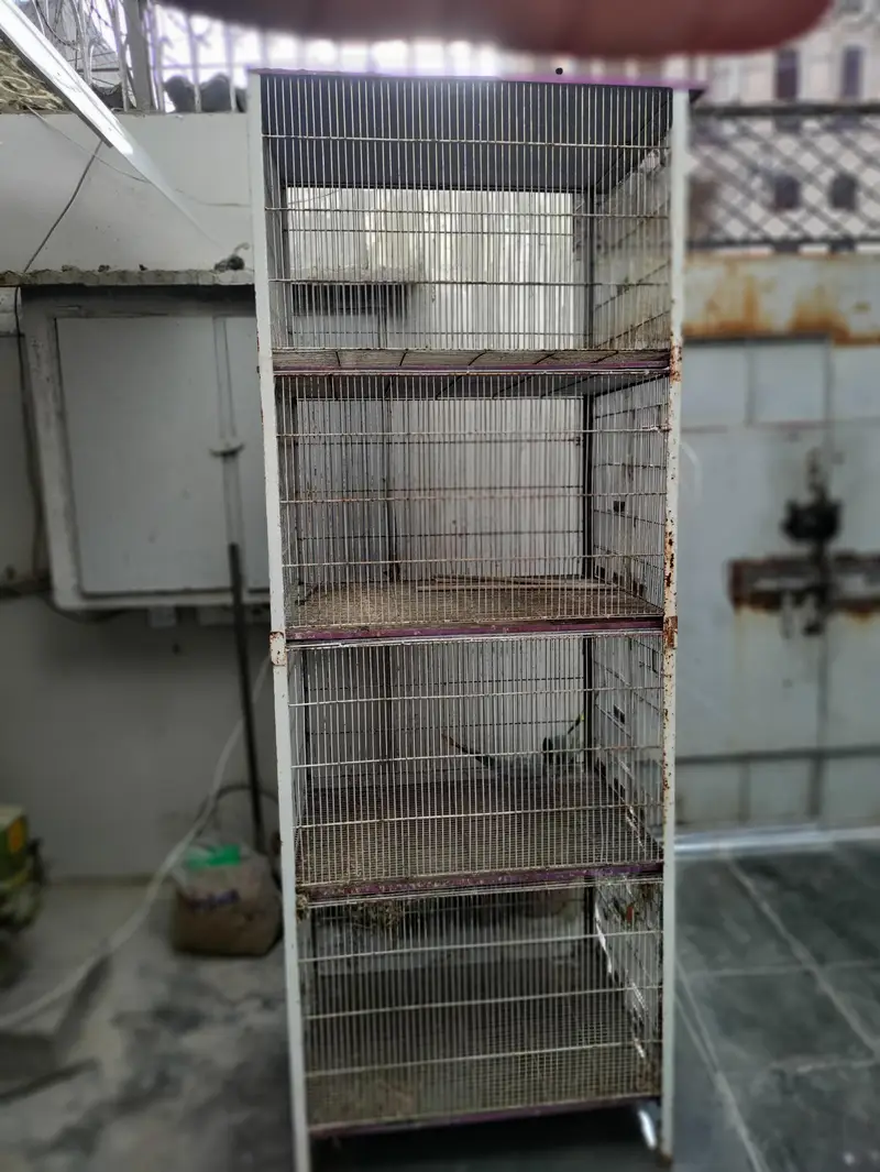 Birds Cage 2.6 X 2 ft