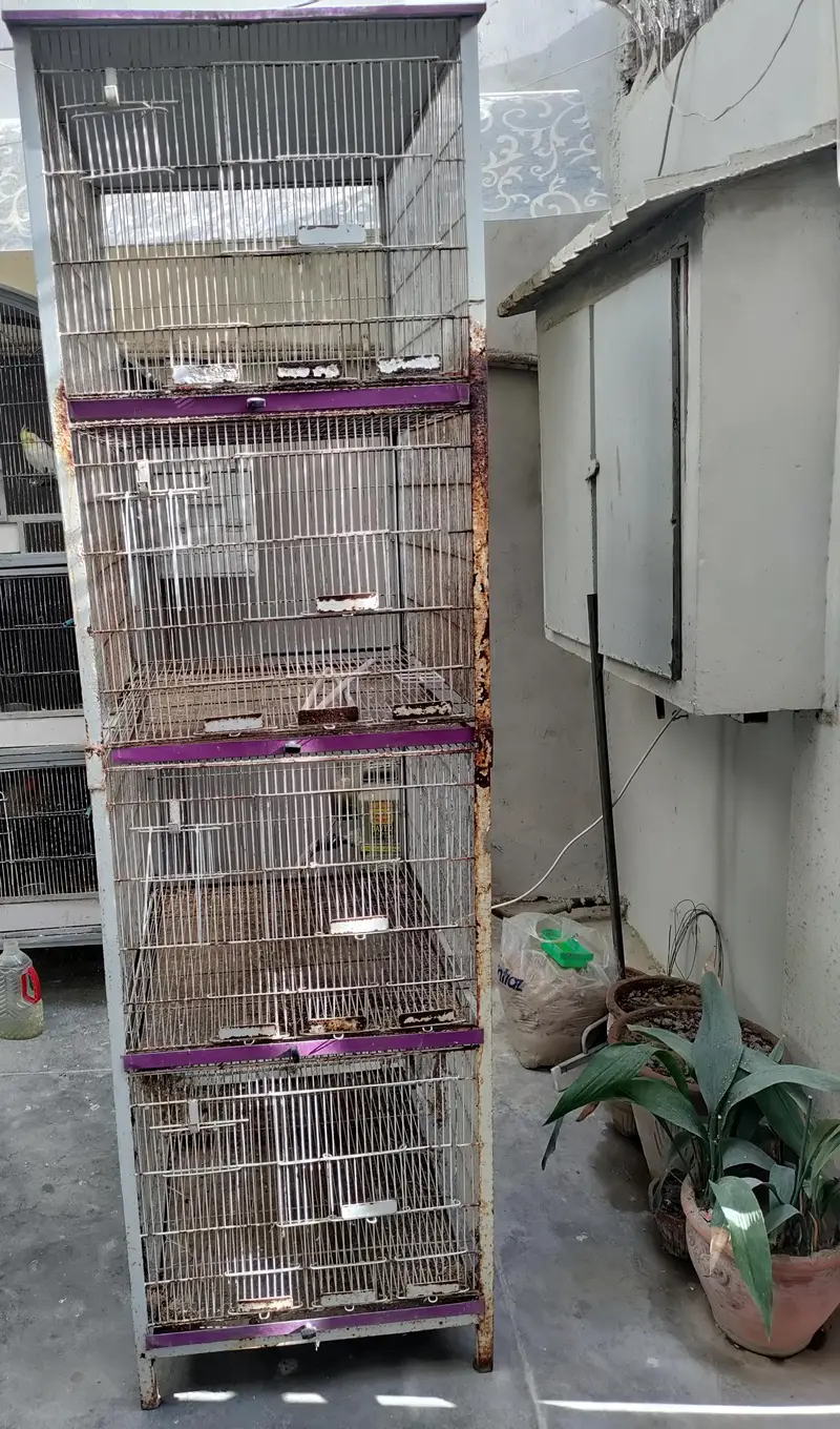 Birds Cage 2.6 X 2 ft — photo 2