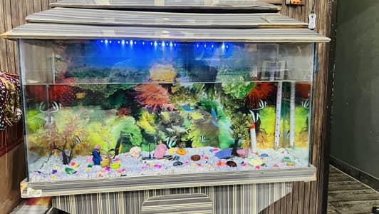 Fish aquarium for sell