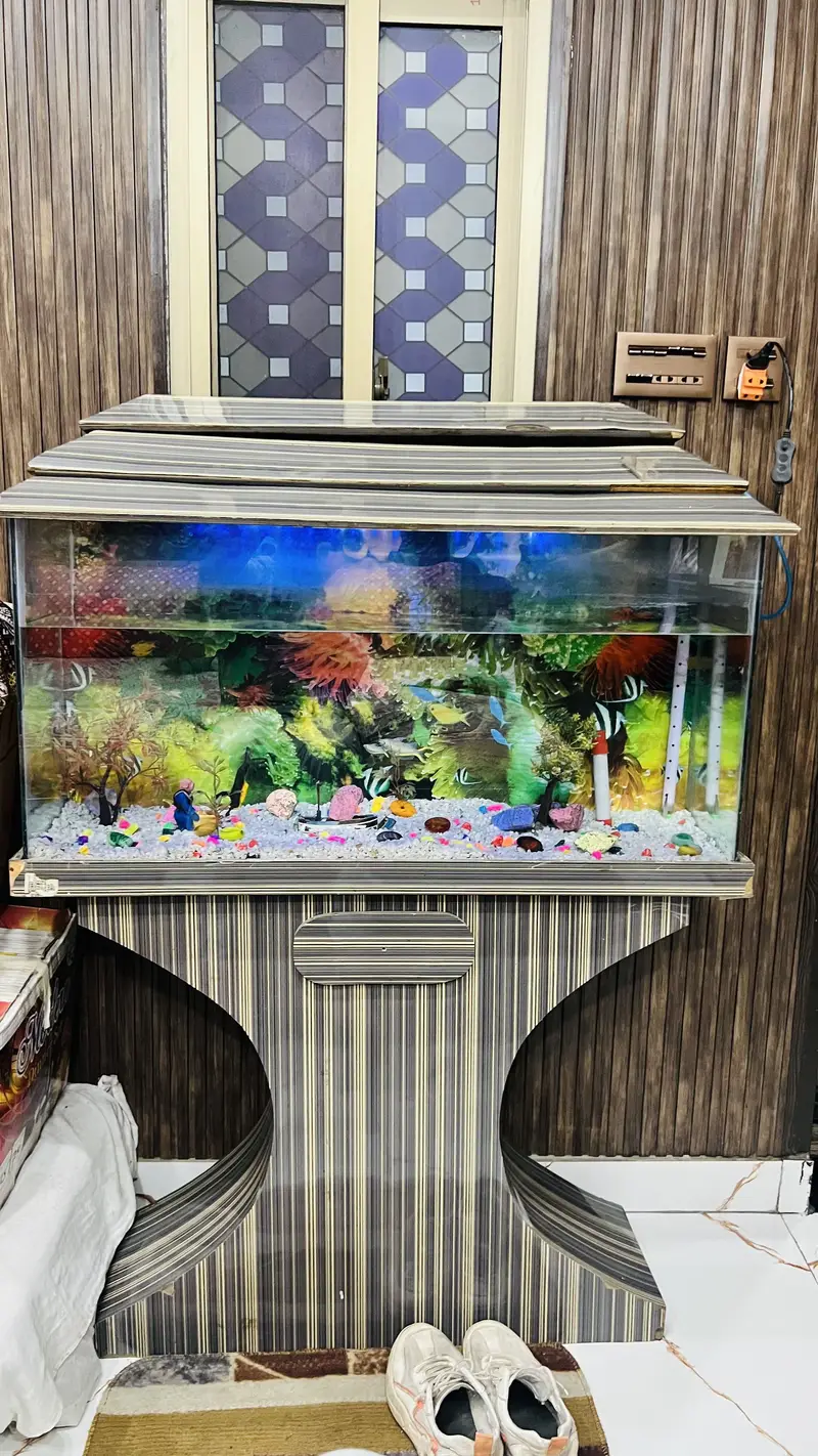 Fish aquarium for sell — photo 2