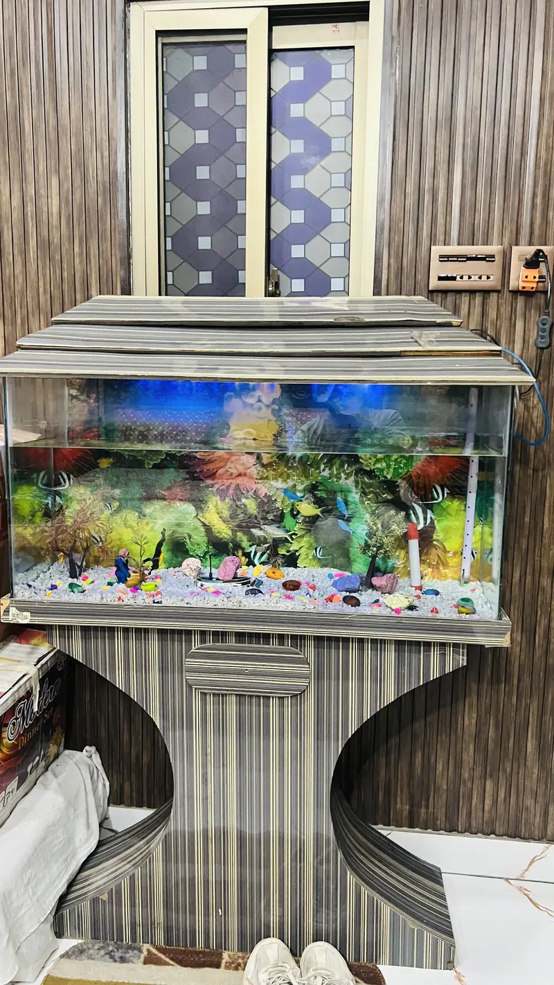 Fish aquarium for sell — photo 5