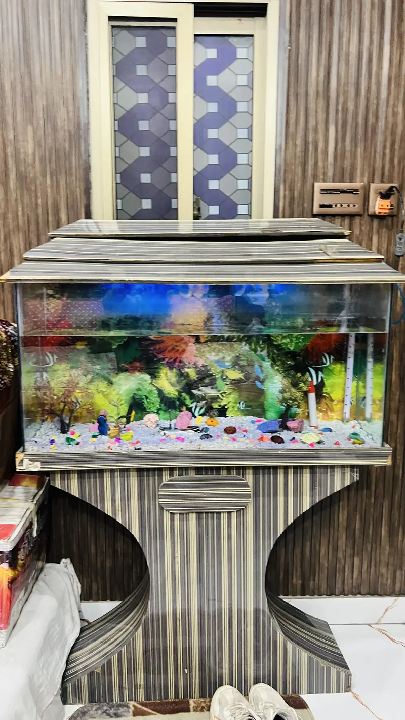 Fish aquarium for sell — photo 6