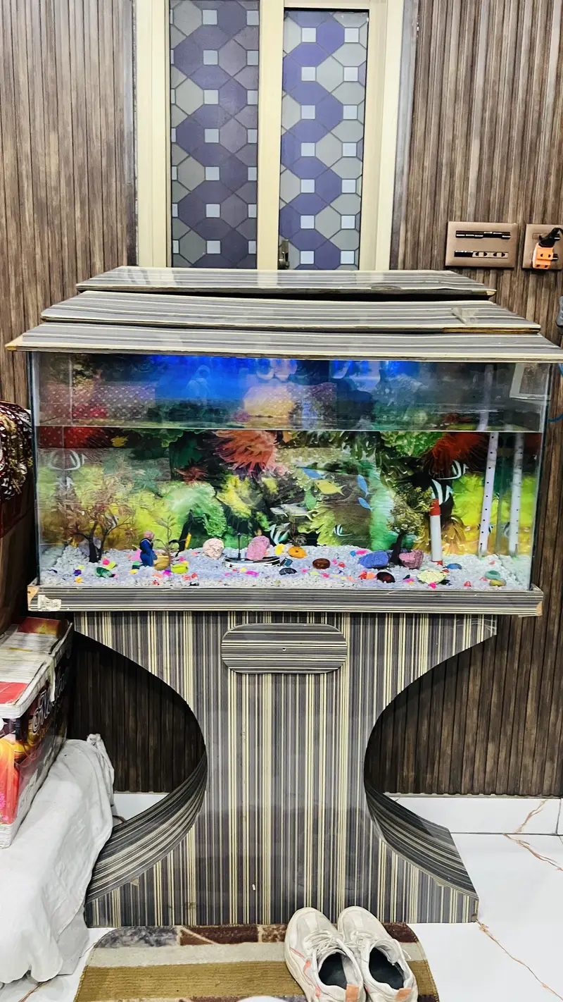Fish aquarium for sell — photo 7