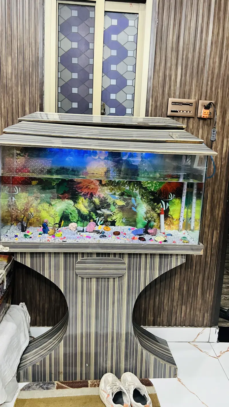 Fish aquarium for sell — photo 8