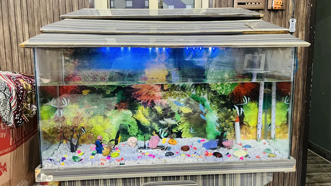 Fish aquarium for sell — photo 9