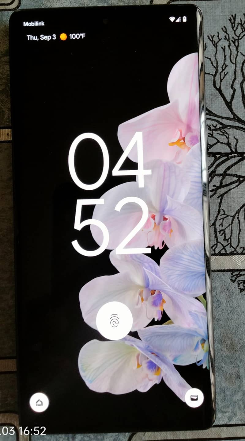 Google Pixel 6 Pro 0