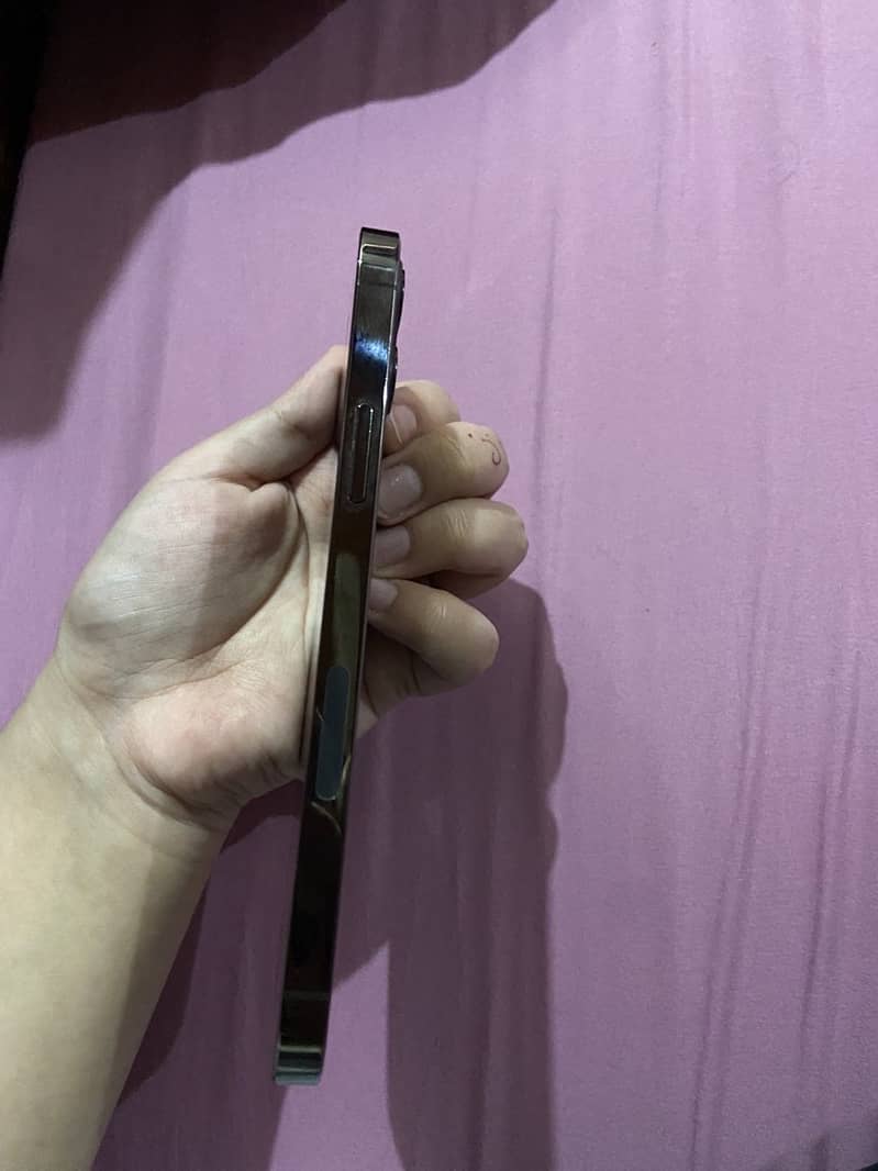 Apple iPhone 12 Pro 0