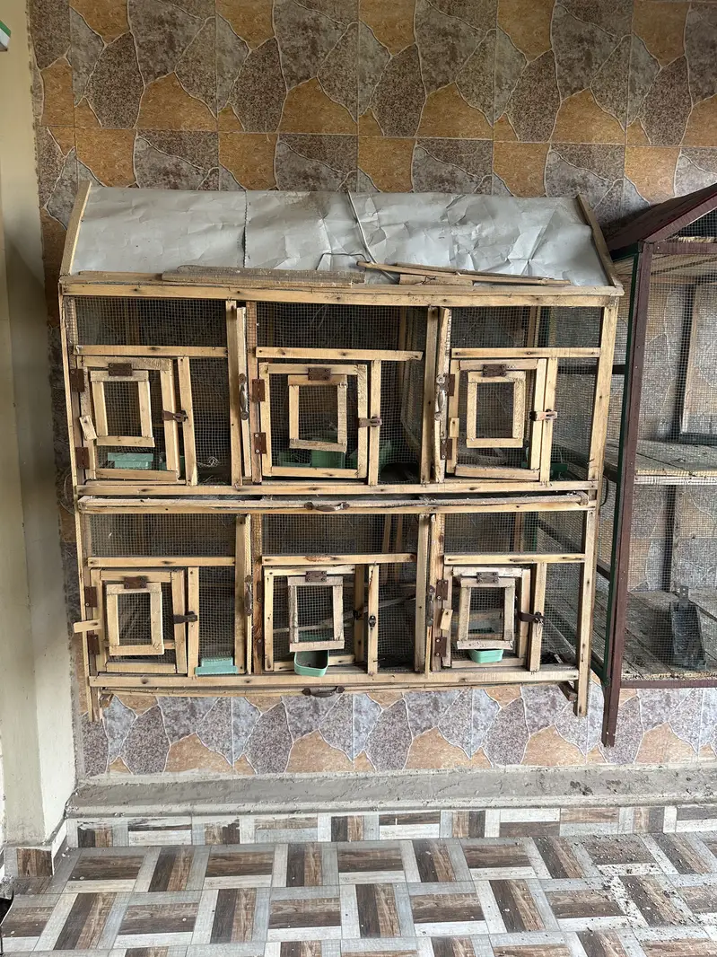 Kail wood Cages for bids read description — photo 3
