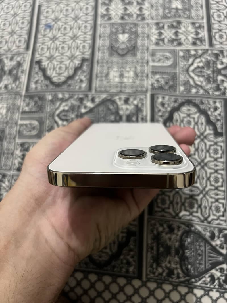 Ip 13 pro max 1
