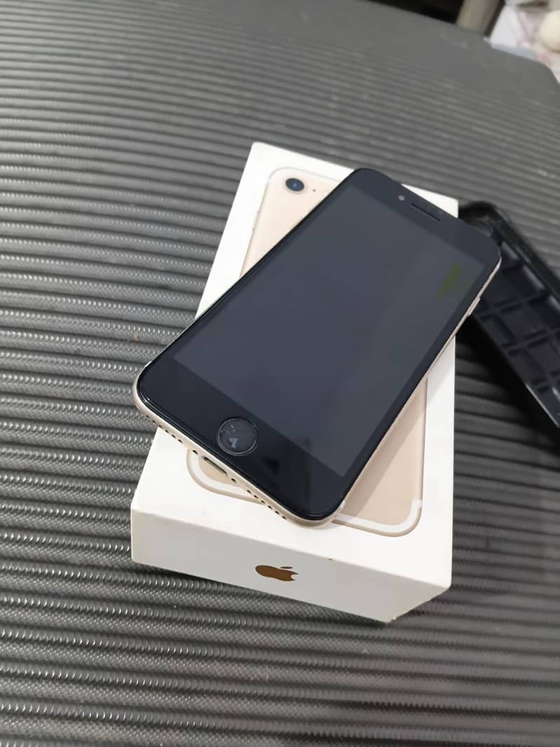 Apple iPhone 7 1