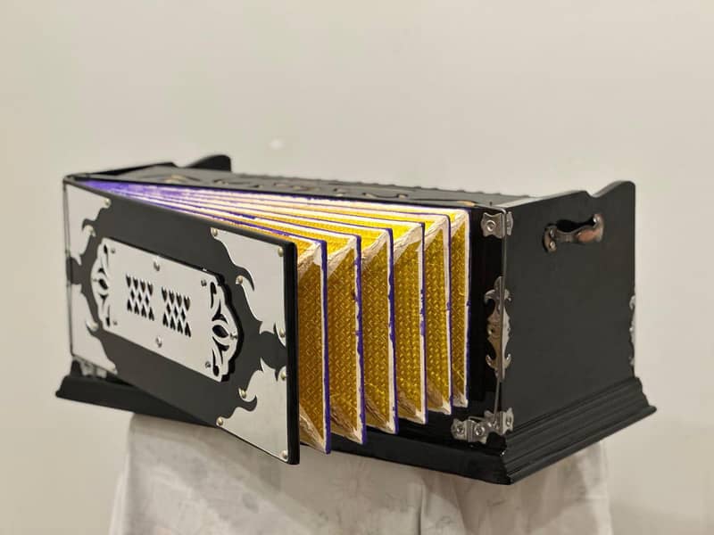 Indian harmonium 2