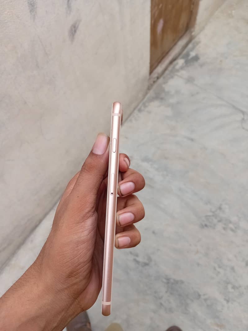 iPhone 8 Plus 5