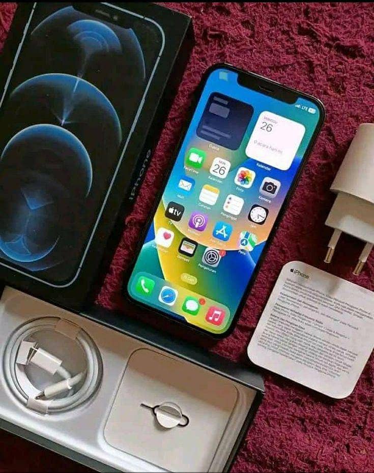Apple iPhone 12 Pro Max 1